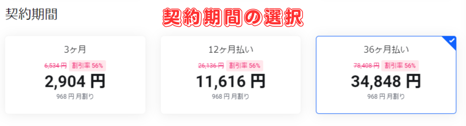 【mixhost】アダルト対応レンタルサーバーの契約方法とその手順-4