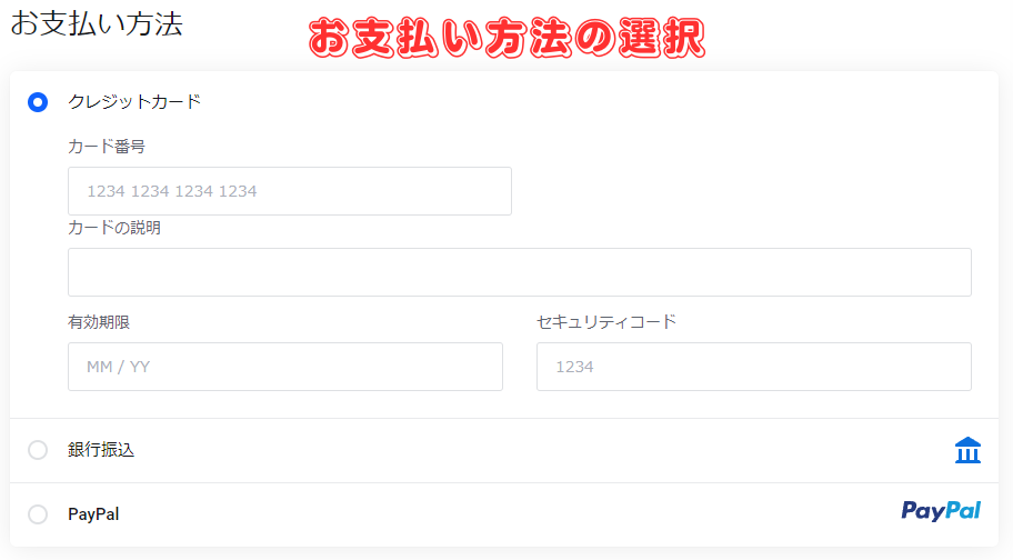 【mixhost】アダルト対応レンタルサーバーの契約方法とその手順-9