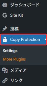 【ブログの作り方】WP Content Copy Protection & No Right Clickで画像や文章を保護-3